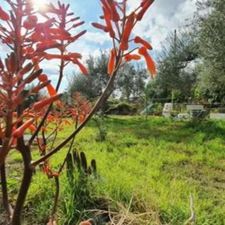 Ombretta Apt Between Etna Volcano And Sea - Happy Διαμέρισμα Mascalucia
